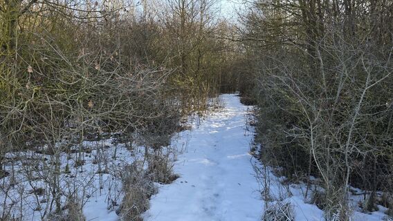 Fotografija s spletne strani Katja Senkel na poti