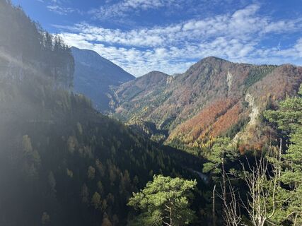 Fotografia z Firma Pool1 Hackl Roman na trase