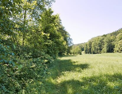 nördliche Vöcklauferweg: entlang der Vöckla