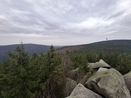 Foto van Wollomator langs de tour