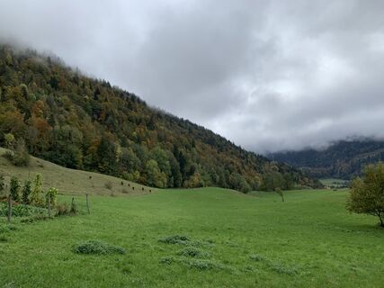 Foto von Koen De Wit entlang der Tour