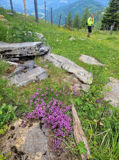 Foto von Dunja Huemer entlang der Tour