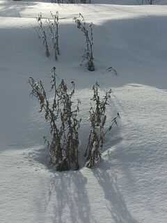 Foto von JC BRET entlang der Tour