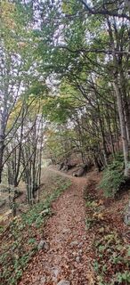 Foto von Daniele Spezia entlang der Tour