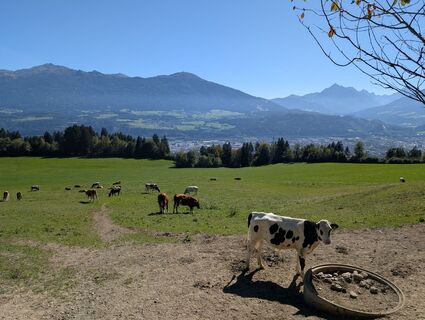 Foto von K. W. 2 entlang der Tour