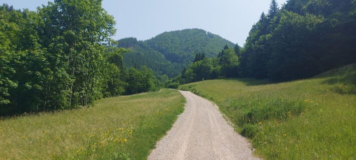 Foto van Klaus Gruber 3 langs de tour
