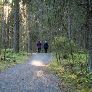 Der barrierefreie Weg in Kuhasalo enthält kleine Anstiege