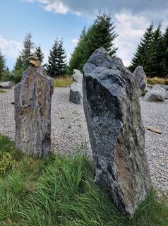 Foto da Helmut Neuhold lungo il tour