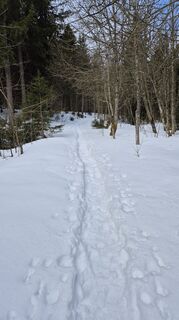 Fotografie z Thomi W na trase