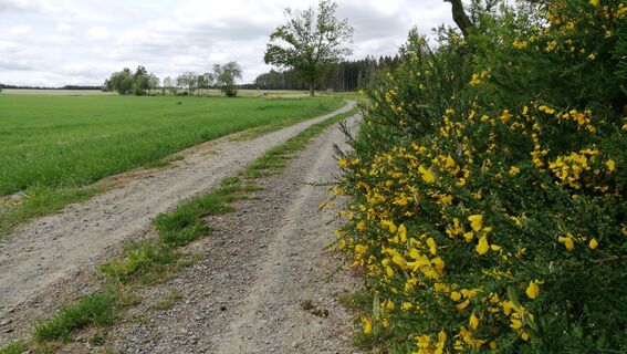 Von Willersdorf ins Quellgebiet der Wisenta
