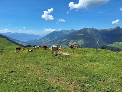 Photo de Jaap Rozeboom le long du parcours