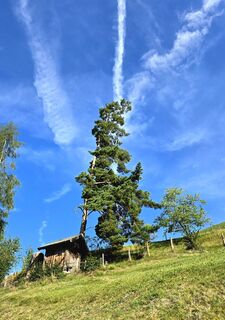 Photo de Veronika Strauss le long du parcours