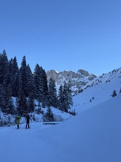 Foto från Thilo Karrenberg under resans gång
