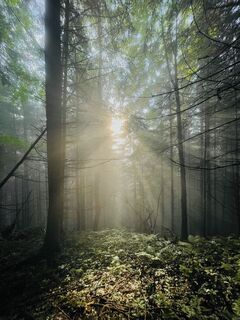 Photo de Elisa Kaufmann le long du parcours