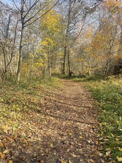Fotó a Thomas Gogl honlapról a túra során