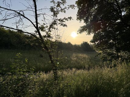 Fotografie z Schaali na trase