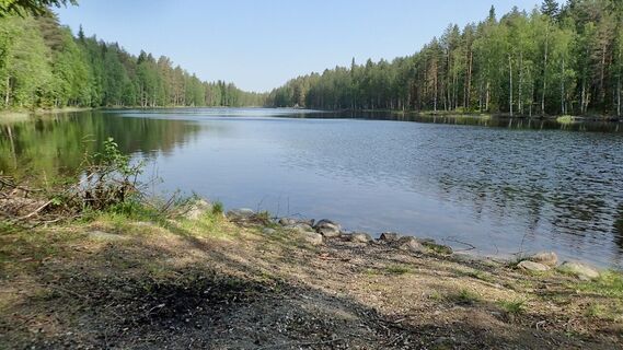 Hoikanlampi