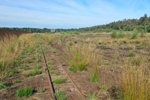 Blick in das Große Moor bei Westerbeck