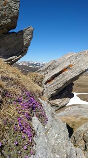 Foto von Sylvia Haingartner entlang der Tour