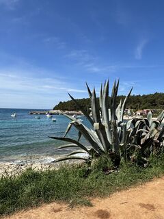 Foto von Marion Falkner entlang der Tour