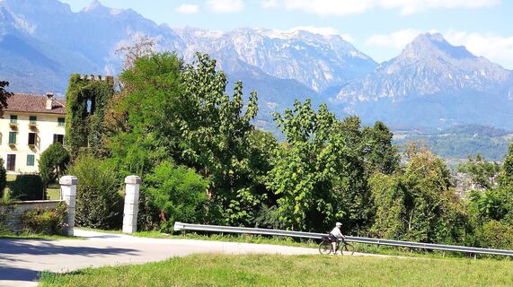 Fotografija s spletne strani Adi Lechner na poti