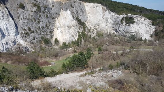 Fotografia z Bernard na trase