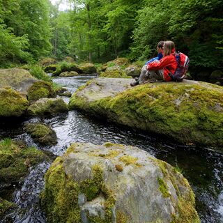 Wanderer im Triebtal