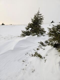 Fotografia z Ingrid H na trase