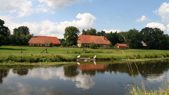 Die Ilmenau bei Klein Bünstorf