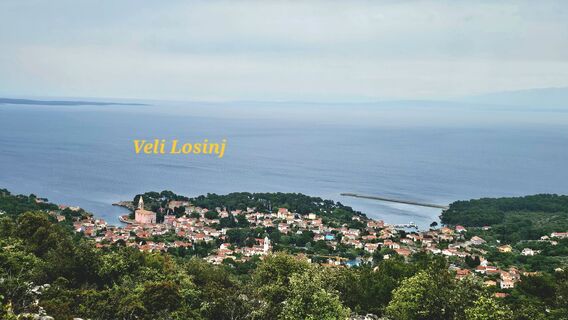 Fotografija s spletne strani Grieshofer Gerlinde na poti