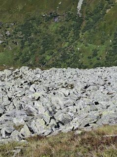 Fotografija s spletne strani Jedinko Knezevic na poti