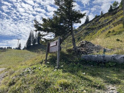 Foto von Eva Niedermair entlang der Tour