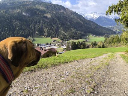 Foto von Tobias Peschanel entlang der Tour