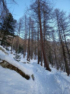 Fotografija s spletne strani Aner na poti