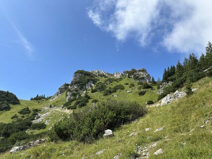 Foto von justasimpleguy entlang der Tour