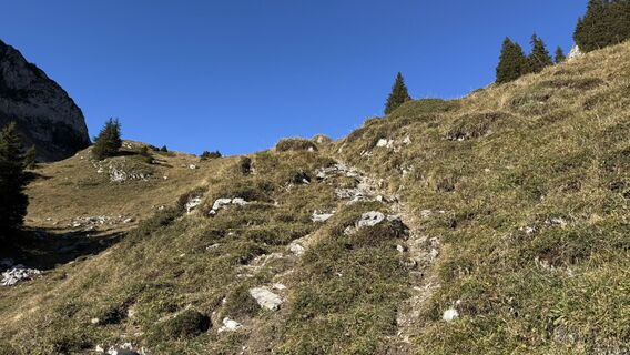 Foto von peter_oe entlang der Tour