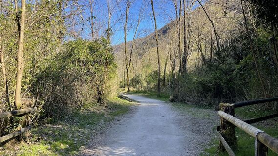 Fotografija s spletne strani Lis Malzach na poti