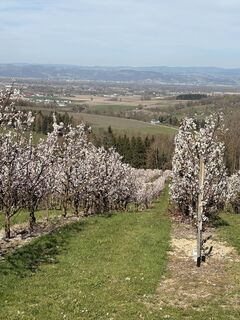 Foto von Nina Astleitner entlang der Tour