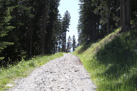 Aufstieg Richtung Calvarana