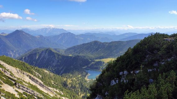 Photo de Gibi le long du parcours