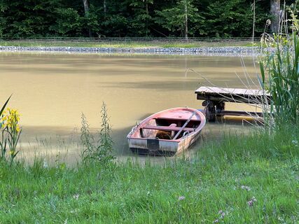 Fischteich