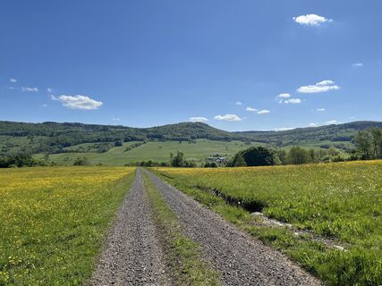 Foto von Sebastian entlang der Tour