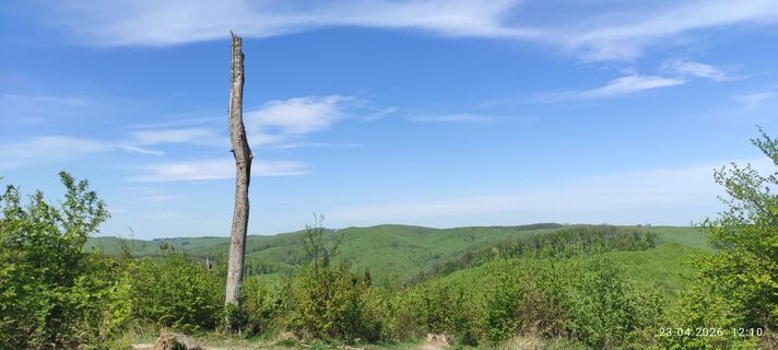 Fotografie z adamwien na trase