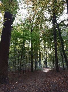 Foto von Karin Mayer-Rosenbohm entlang der Tour