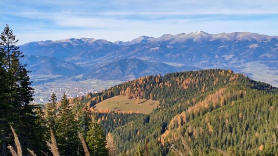 Foto von Johnny Velo entlang der Tour