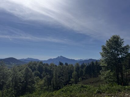 Foto von Friederike Steyrer entlang der Tour