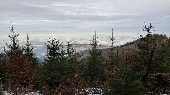 Foto von Eva Hebesberger entlang der Tour