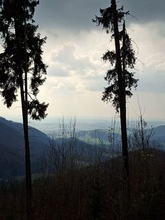 Hoher Zetz