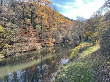 Foto fra holgerwag undervejs på turen