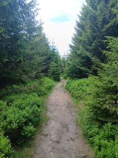 Foto von Daniel Kremiec entlang der Tour
